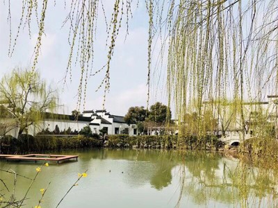 糖心VLGO生活方式作品八