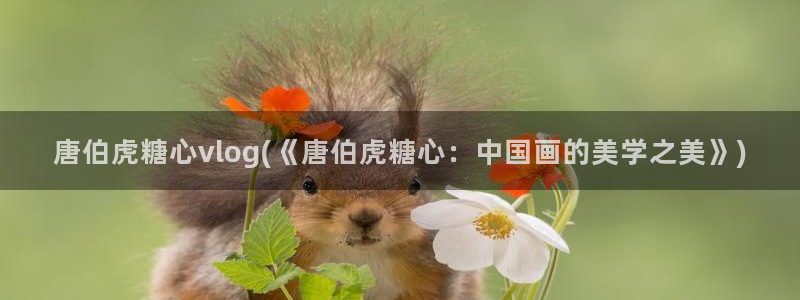 糖心vlog姐姐面前：唐伯虎糖心vlog(《唐伯虎糖心：中国画的美学之美》)