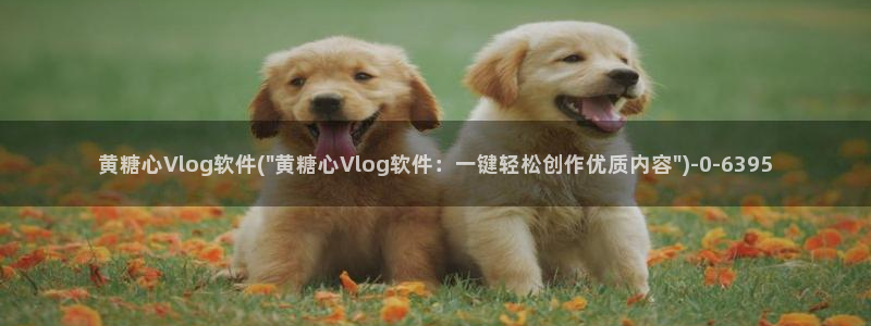 糖心vlog博客版