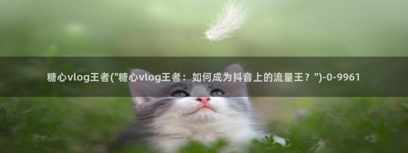 心糖vlog女演员
