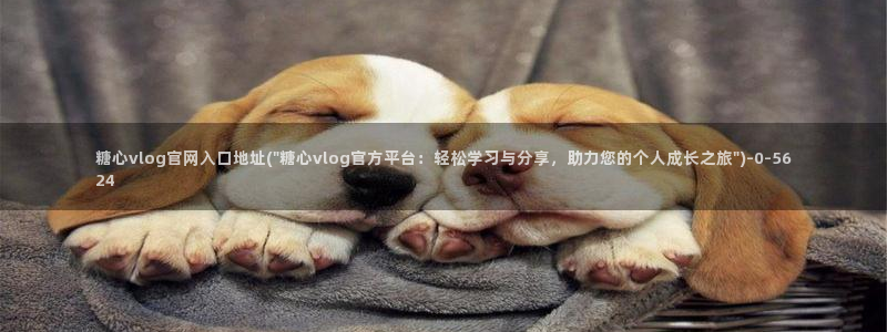 芋圆糖心vlog视频在线观看