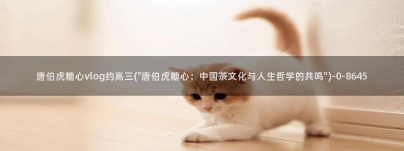 多乙糖心vlog