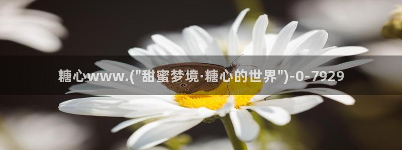 糖心vlog有破解版吗
