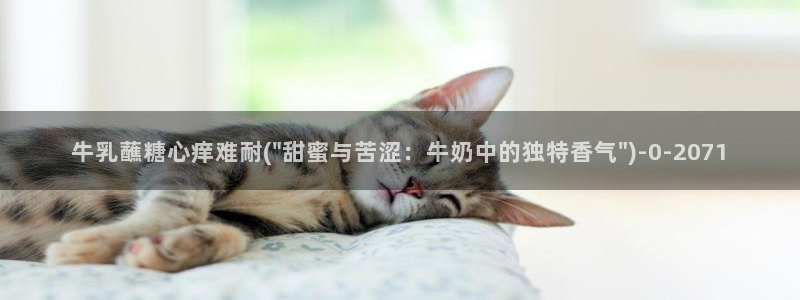 心糖vlog短视频