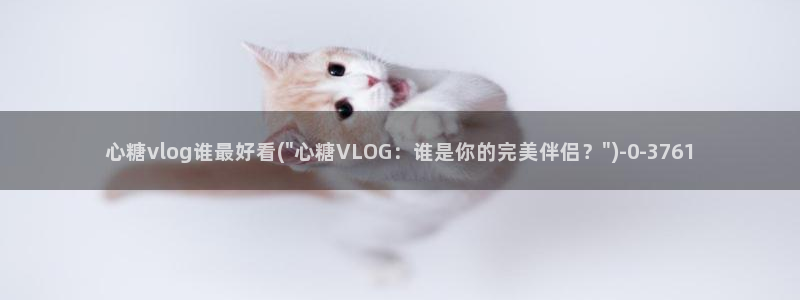 糖心vlog0