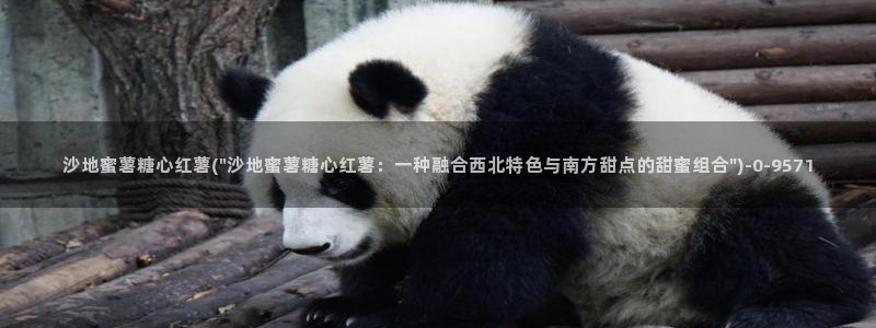 糖心vlog网站观看