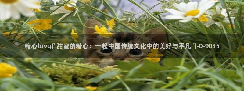 糖心vlog在线免费观看