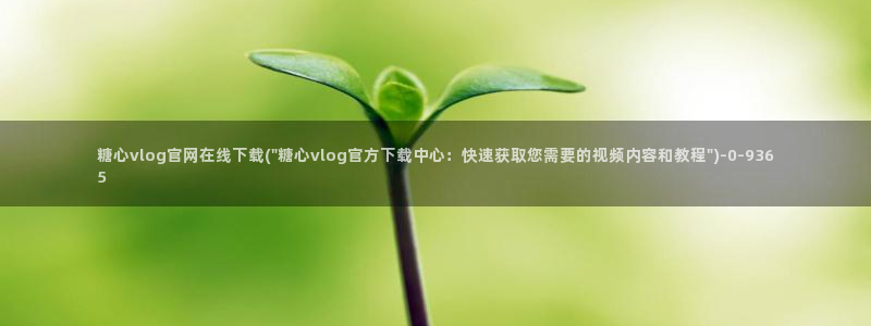 糖心vlog记录