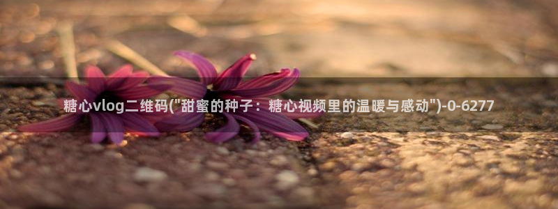 糖心vlog,在线观看