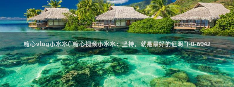 糖心破解版vlog